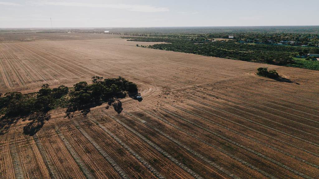 Stirlings, Pompies & Town, Loxton SA 5333