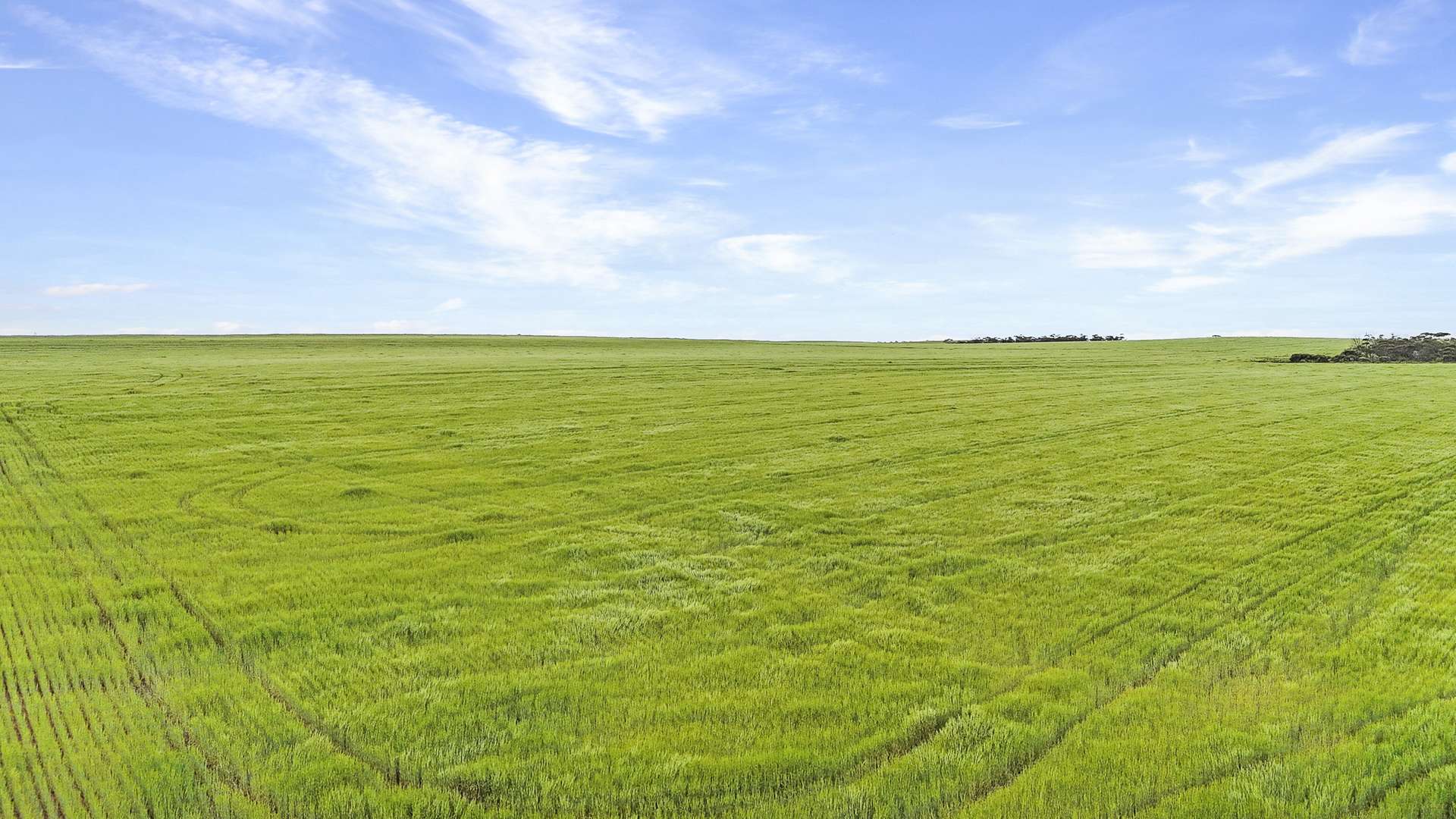 0 Stirlings, Loxton For Sale by Farmbuy.com - image 3