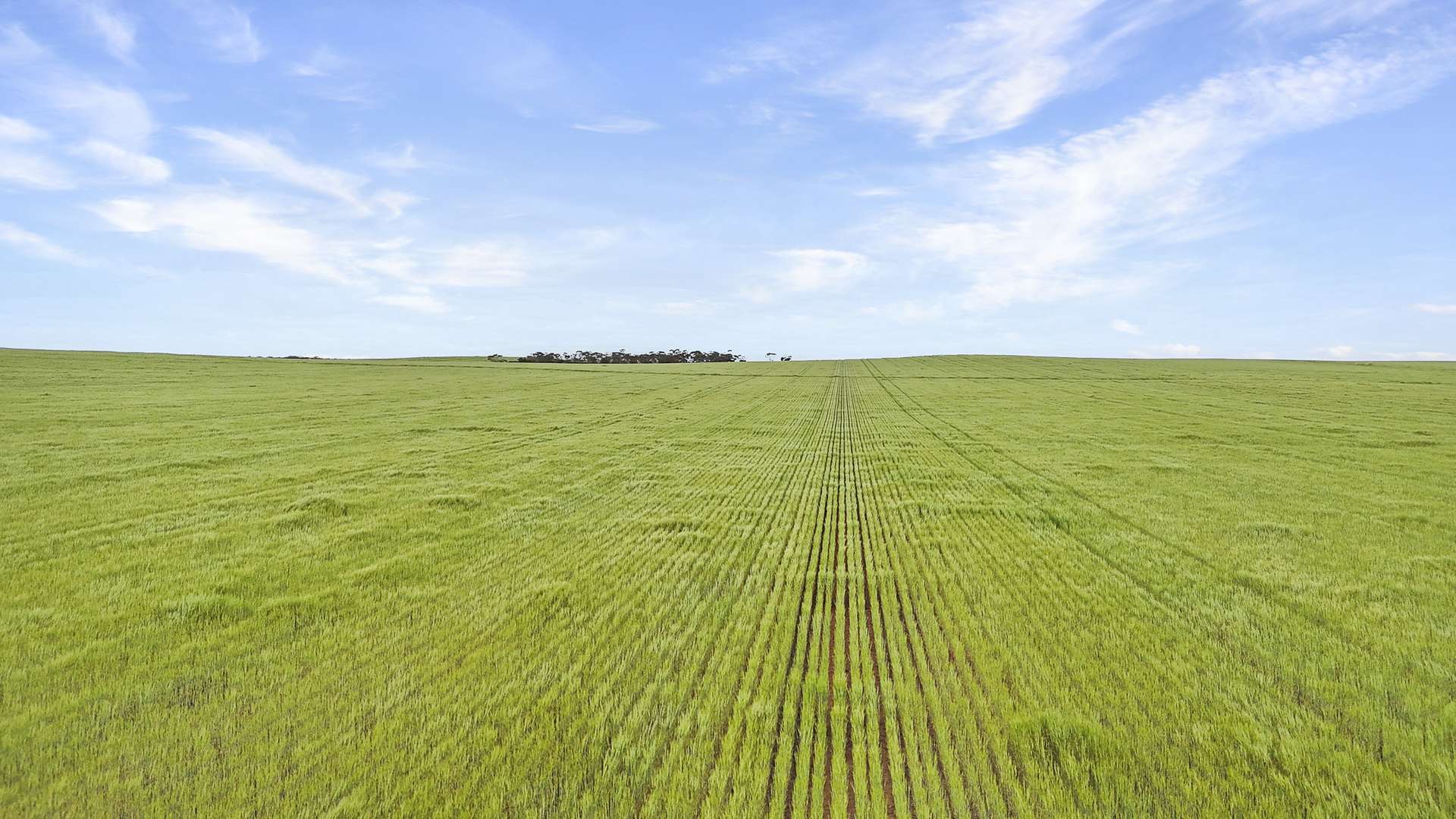 0 Stirlings, Loxton For Sale by Farmbuy.com - image 2