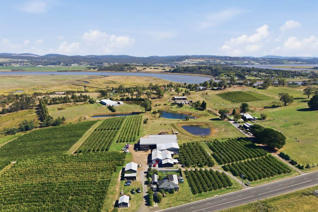 161 John Lees Drive, Dilston TAS 7252