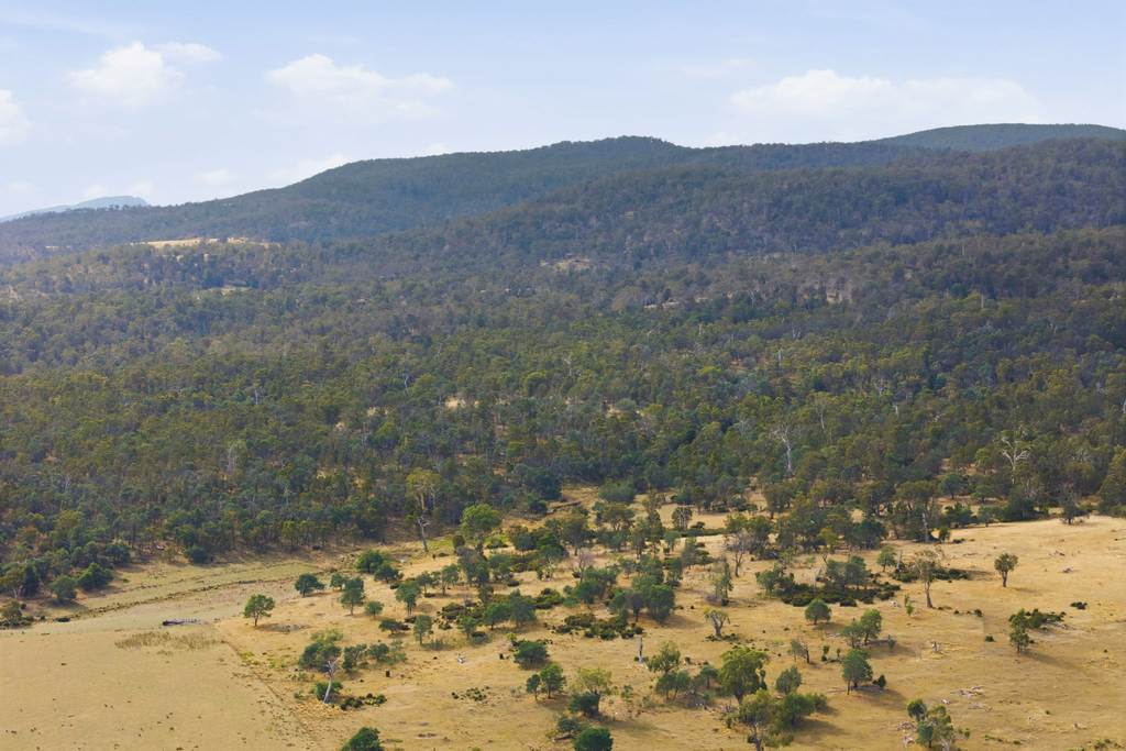 411 Bryants Lane, Deddington TAS 7212
