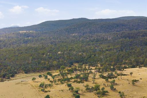 411 Bryants Lane, Deddington TAS 7212