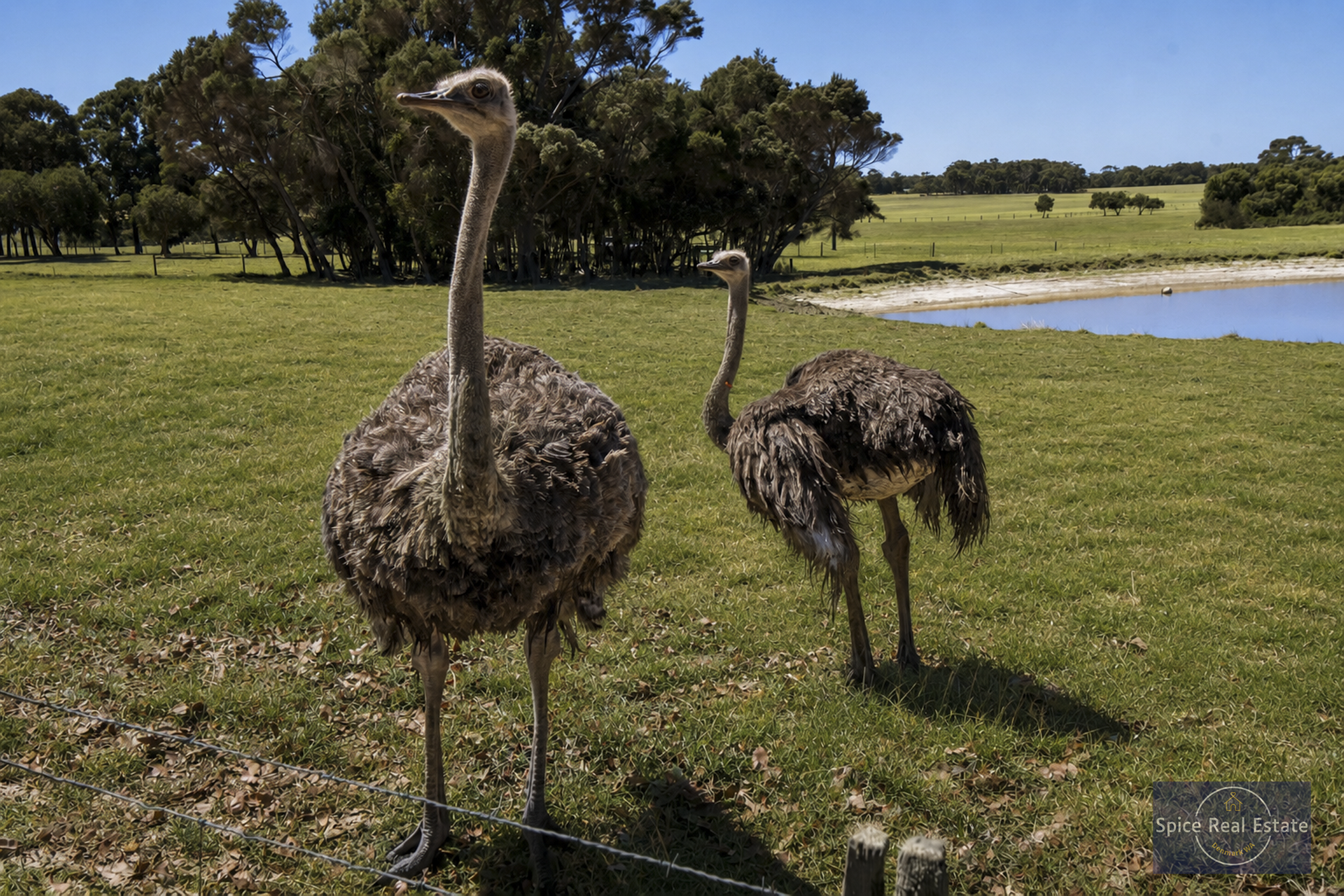 96 Rudgyard Place, Hay For Sale by Farmbuy.com - image 33
