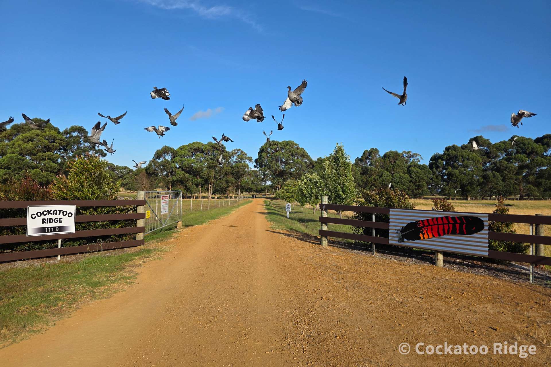 96 Rudgyard Place, Hay For Sale by Farmbuy.com - image 7