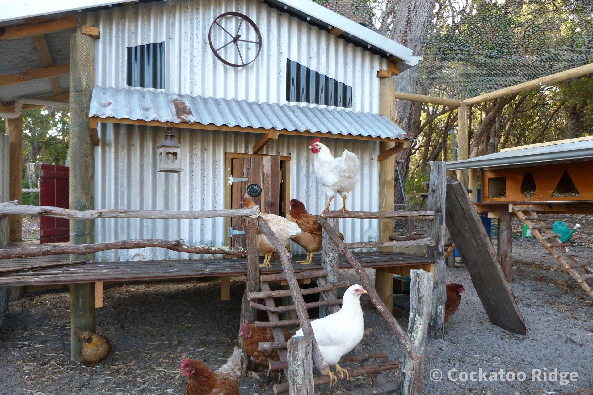 96 Rudgyard Place, Hay For Sale by Farmbuy.com - image 31
