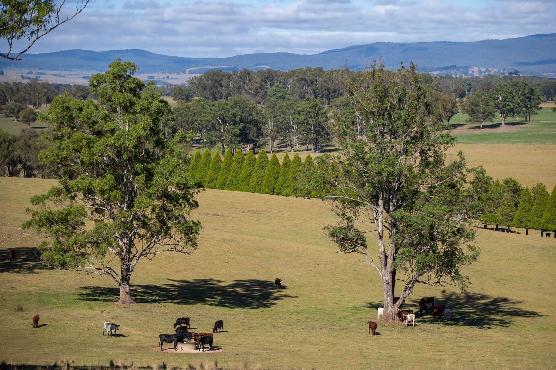 700 Oaklands Road Yarrowitch Valley Via, Walcha For Sale by Farmbuy.com - image 26