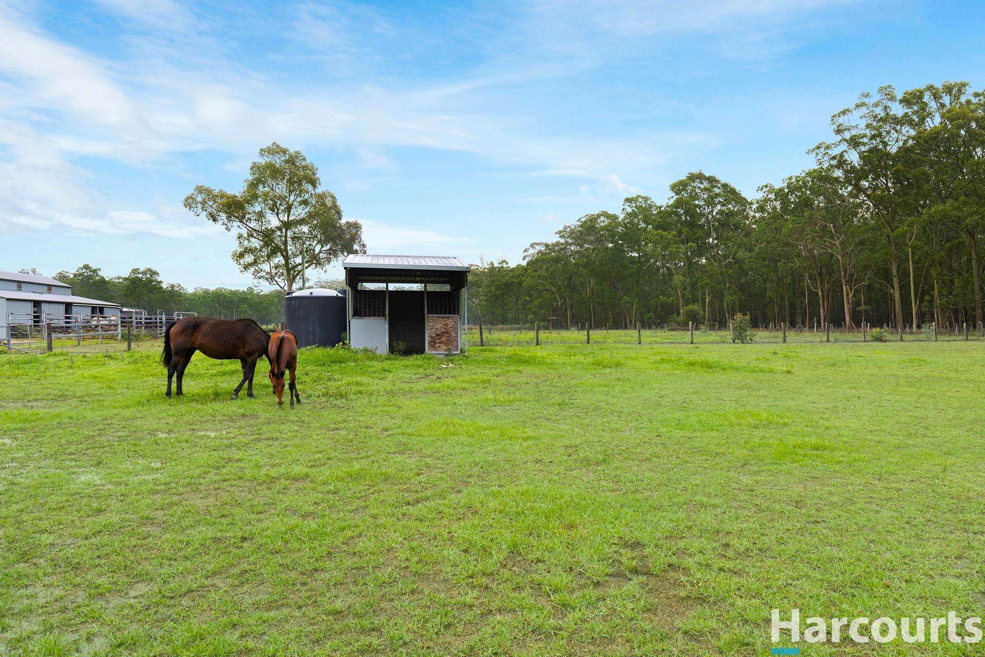 571A The Bucketts Way, Limeburners Creek For Sale by Farmbuy.com - image 23
