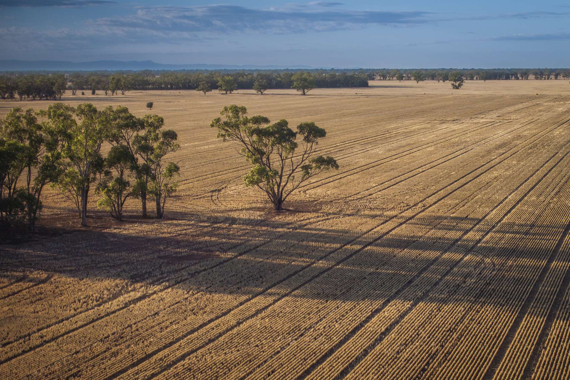 1048 Wyanga Road, Narromine Sold by Farmbuy.com - image 6
