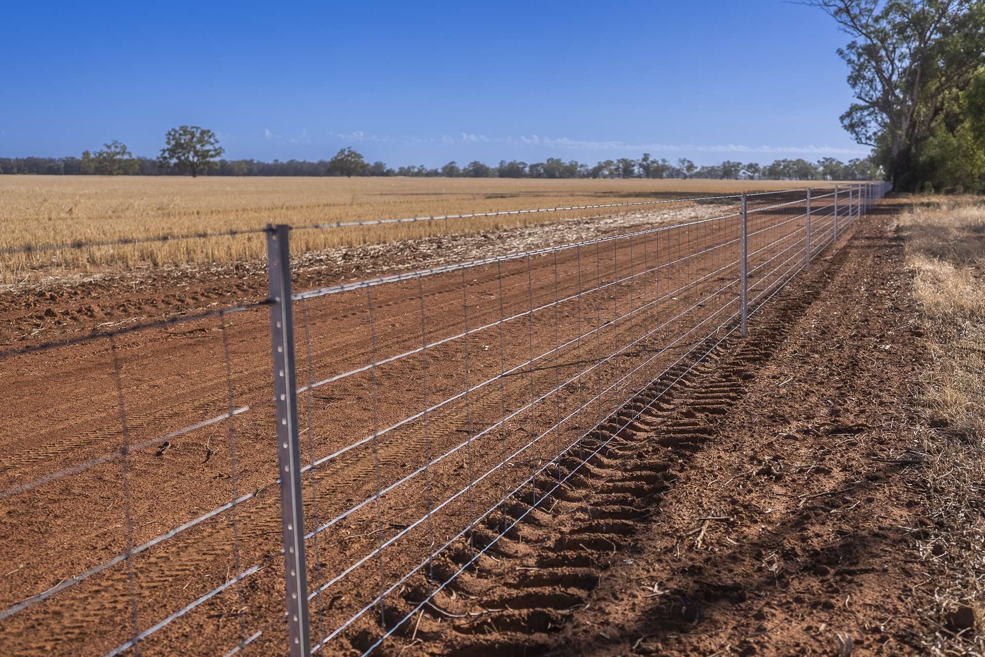 1048 Wyanga Road, Narromine Sold by Farmbuy.com - image 10