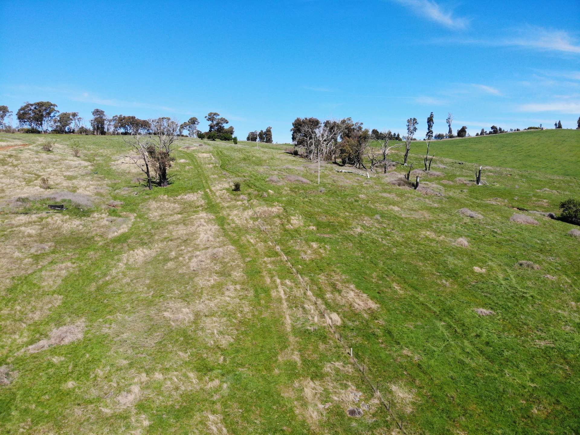 755 Old Tumbarumba Road, Batlow For Sale by Farmbuy.com - image 17