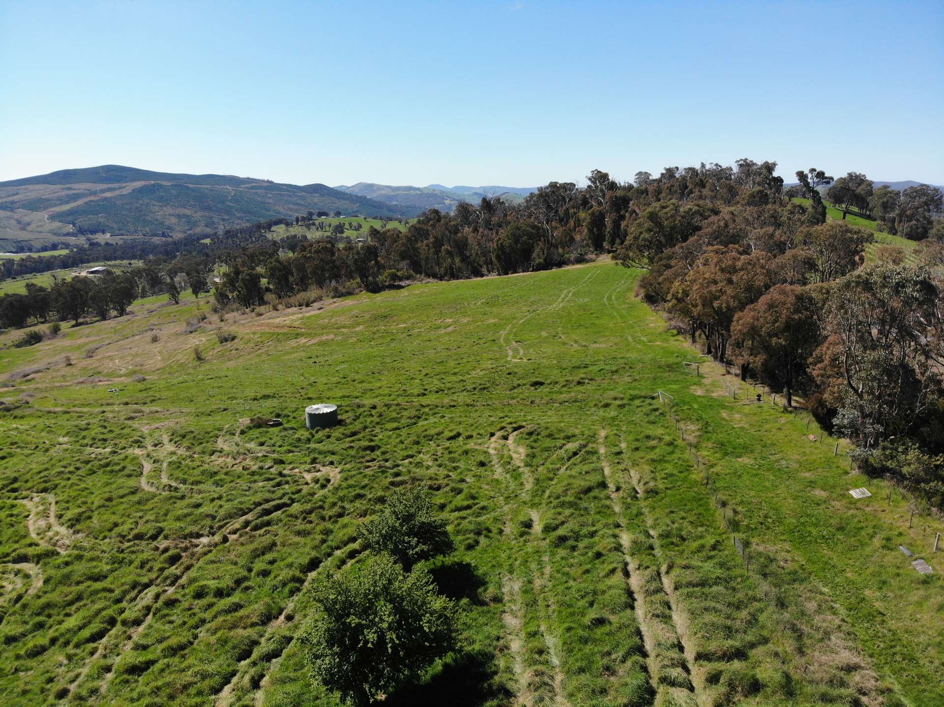 755 Old Tumbarumba Road, Batlow For Sale by Farmbuy.com - image 7