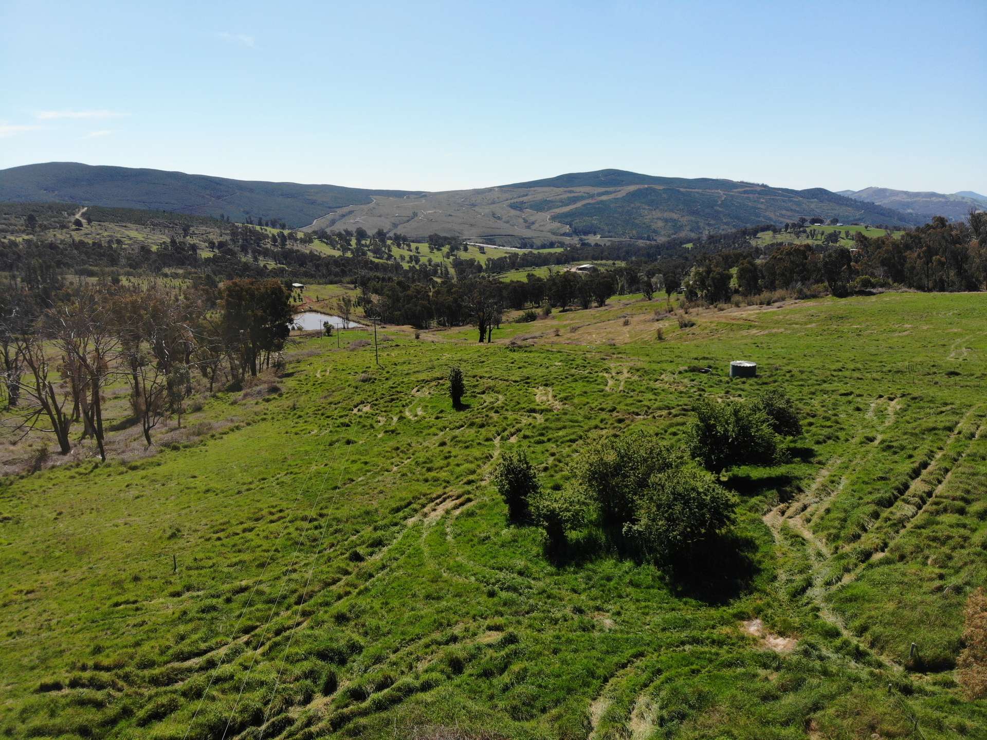 755 Old Tumbarumba Road, Batlow For Sale by Farmbuy.com - image 6