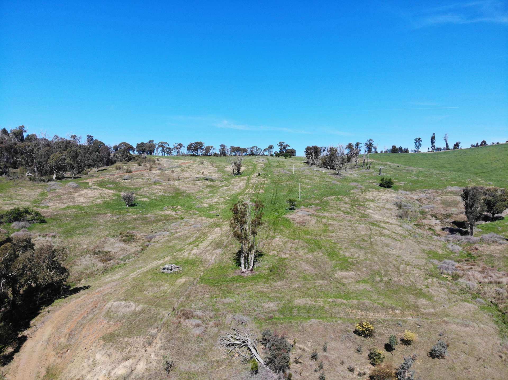 755 Old Tumbarumba Road, Batlow For Sale by Farmbuy.com - image 15