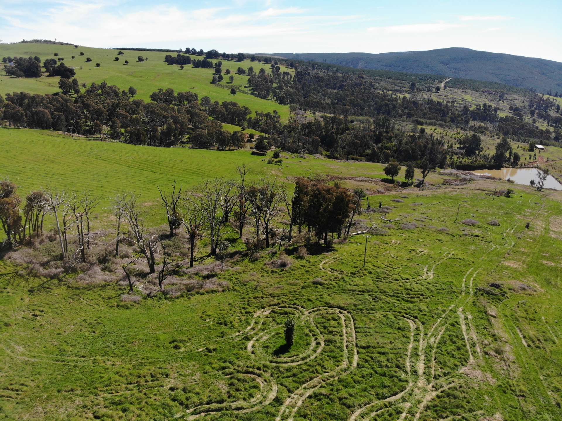 755 Old Tumbarumba Road, Batlow For Sale by Farmbuy.com - image 8