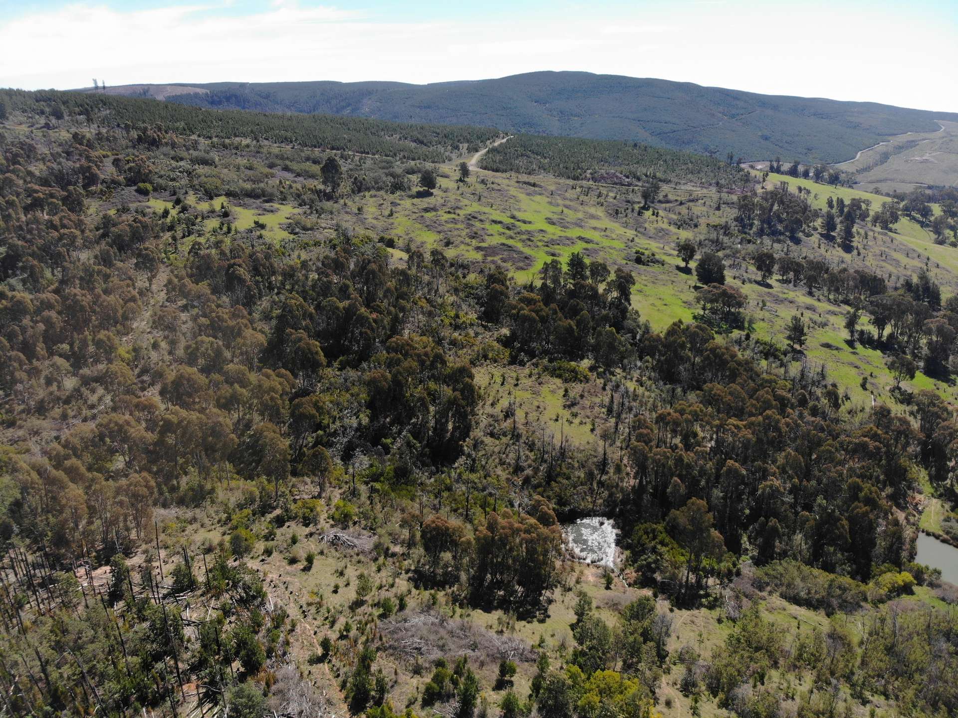 755 Old Tumbarumba Road, Batlow For Sale by Farmbuy.com - image 12
