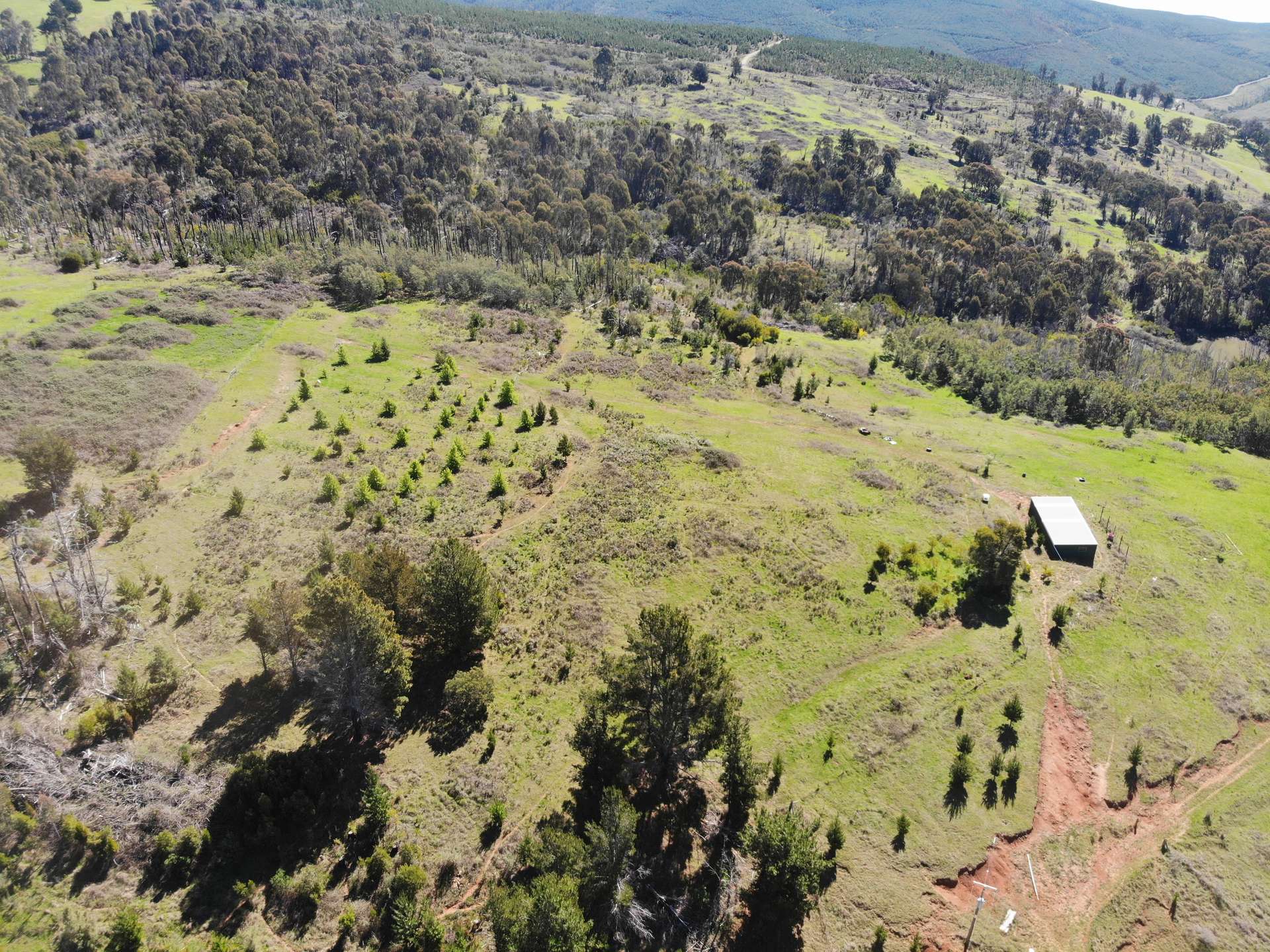 755 Old Tumbarumba Road, Batlow For Sale by Farmbuy.com - image 11
