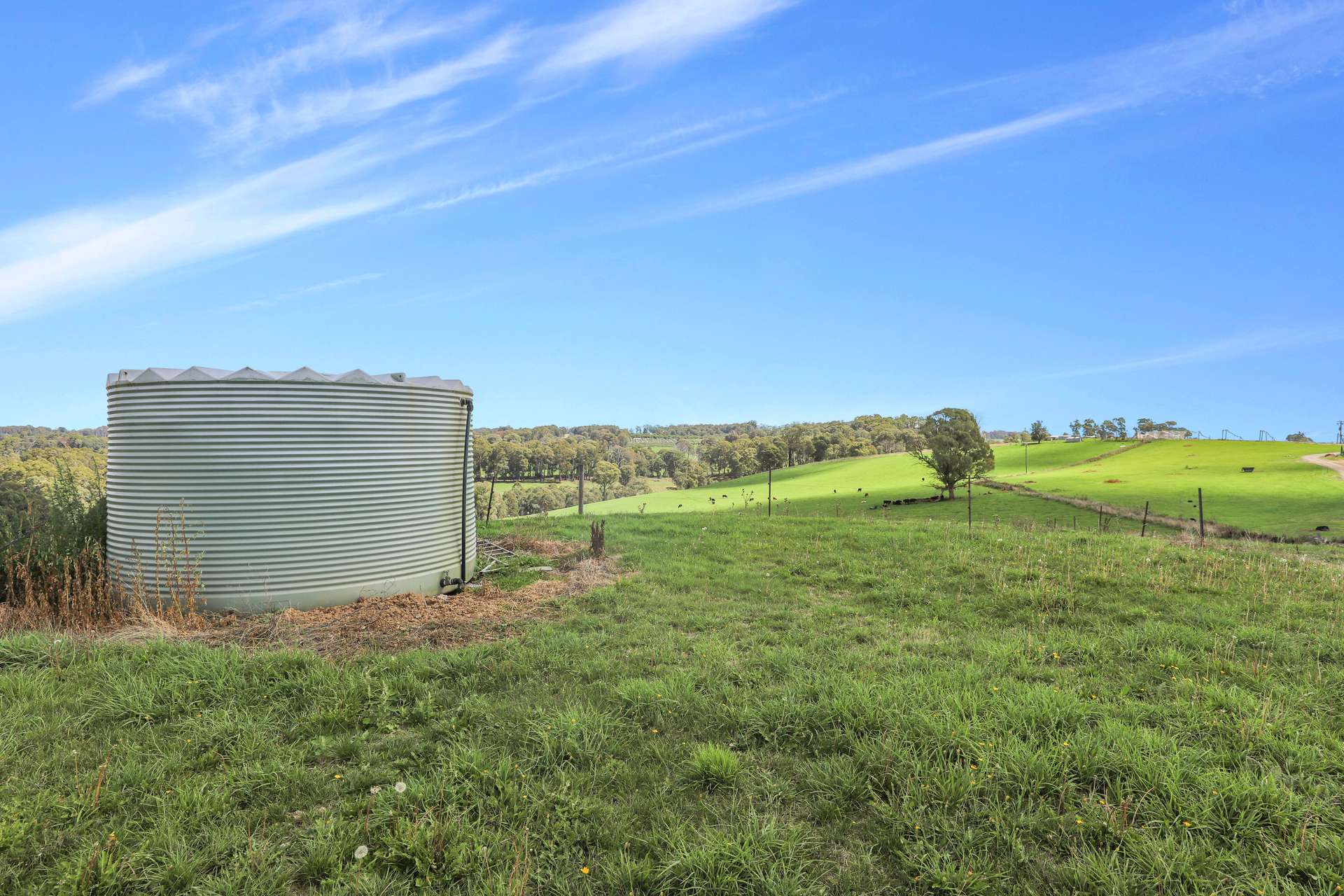 3356 Batlow Road, Batlow For Sale by Farmbuy.com - image 4