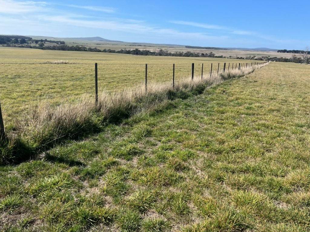 559 North Ansons Road, Gladstone For Sale by Farmbuy.com - image 18