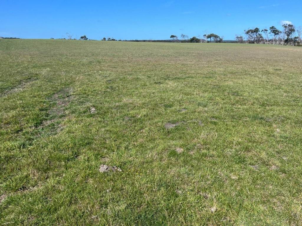 559 North Ansons Road, Gladstone For Sale by Farmbuy.com - image 20