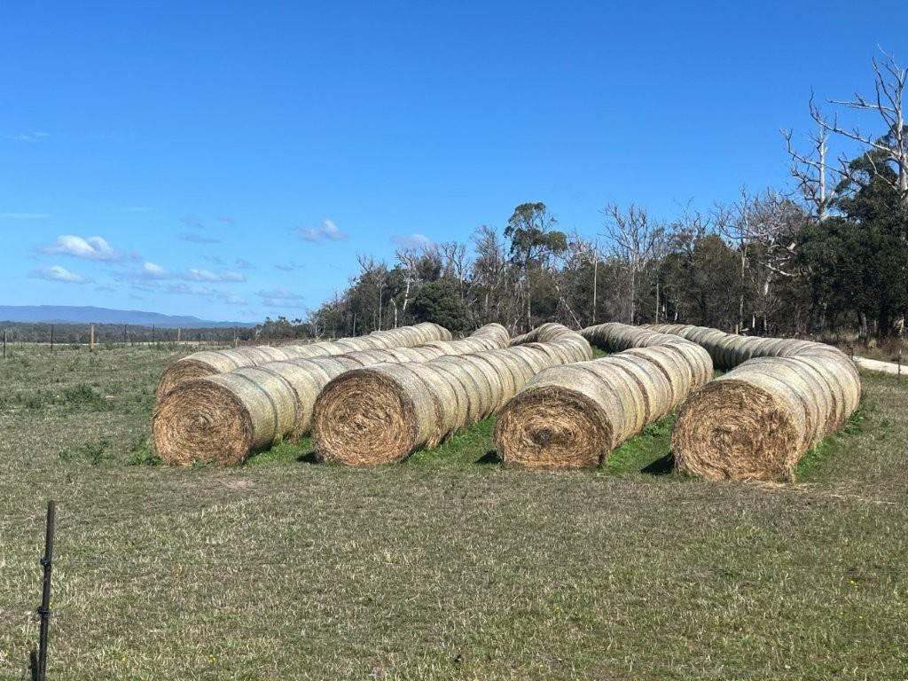 559 North Ansons Road, Gladstone For Sale by Farmbuy.com - image 12