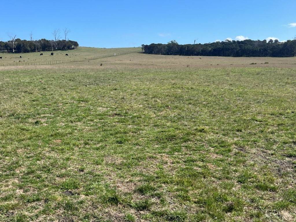 559 North Ansons Road, Gladstone For Sale by Farmbuy.com - image 19