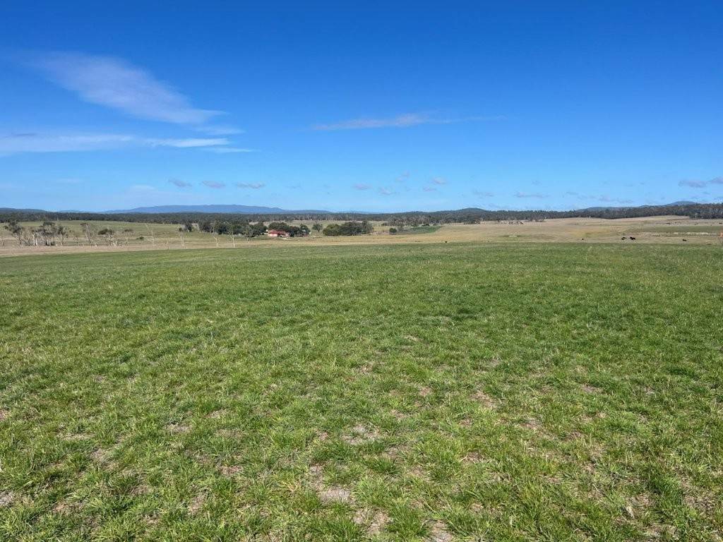 559 North Ansons Road, Gladstone For Sale by Farmbuy.com - image 14