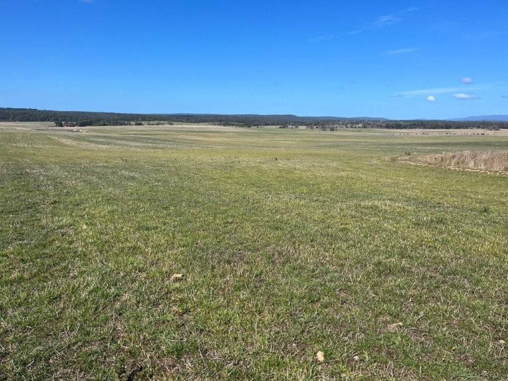 559 North Ansons Road, Gladstone For Sale by Farmbuy.com - image 7