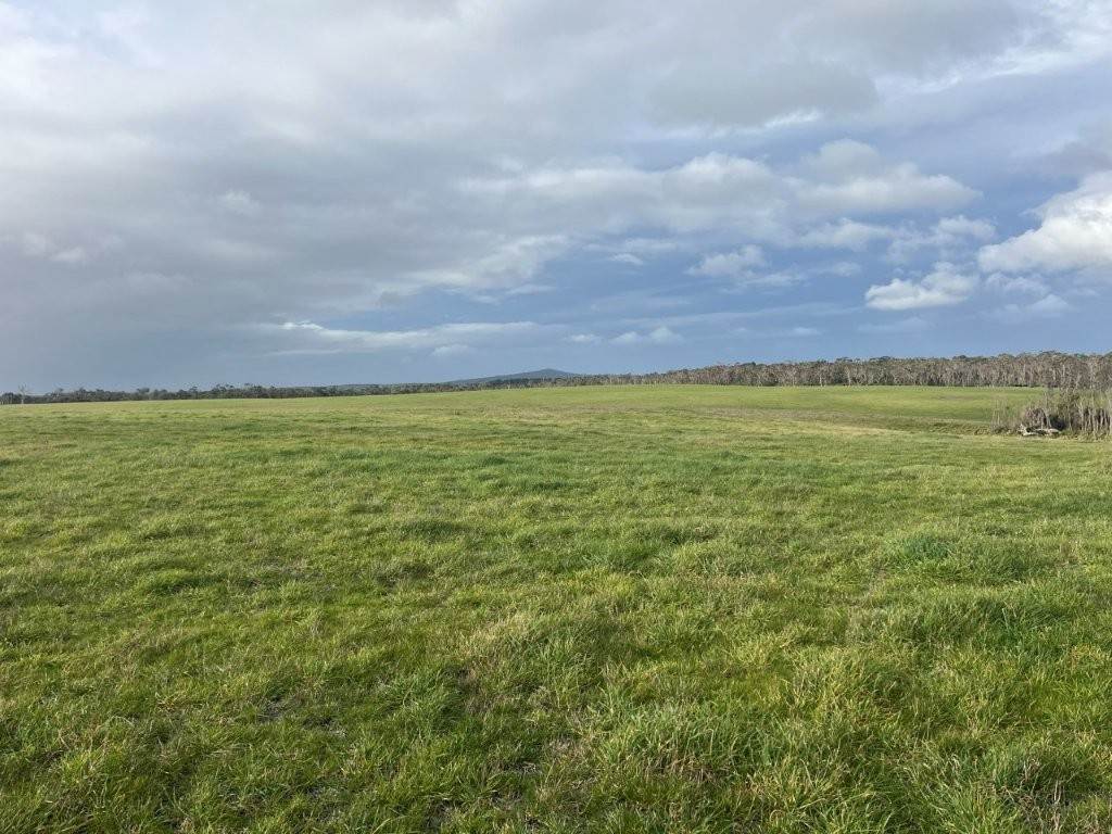 559 North Ansons Road, Gladstone For Sale by Farmbuy.com - image 4
