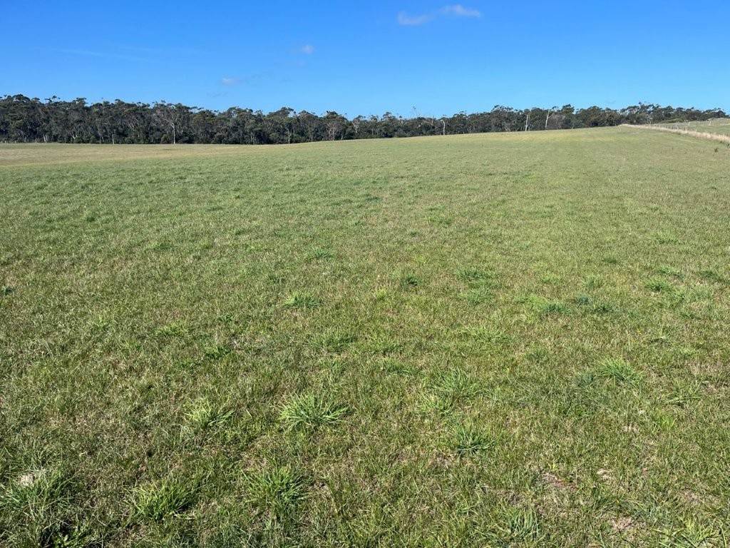 559 North Ansons Road, Gladstone For Sale by Farmbuy.com - image 23