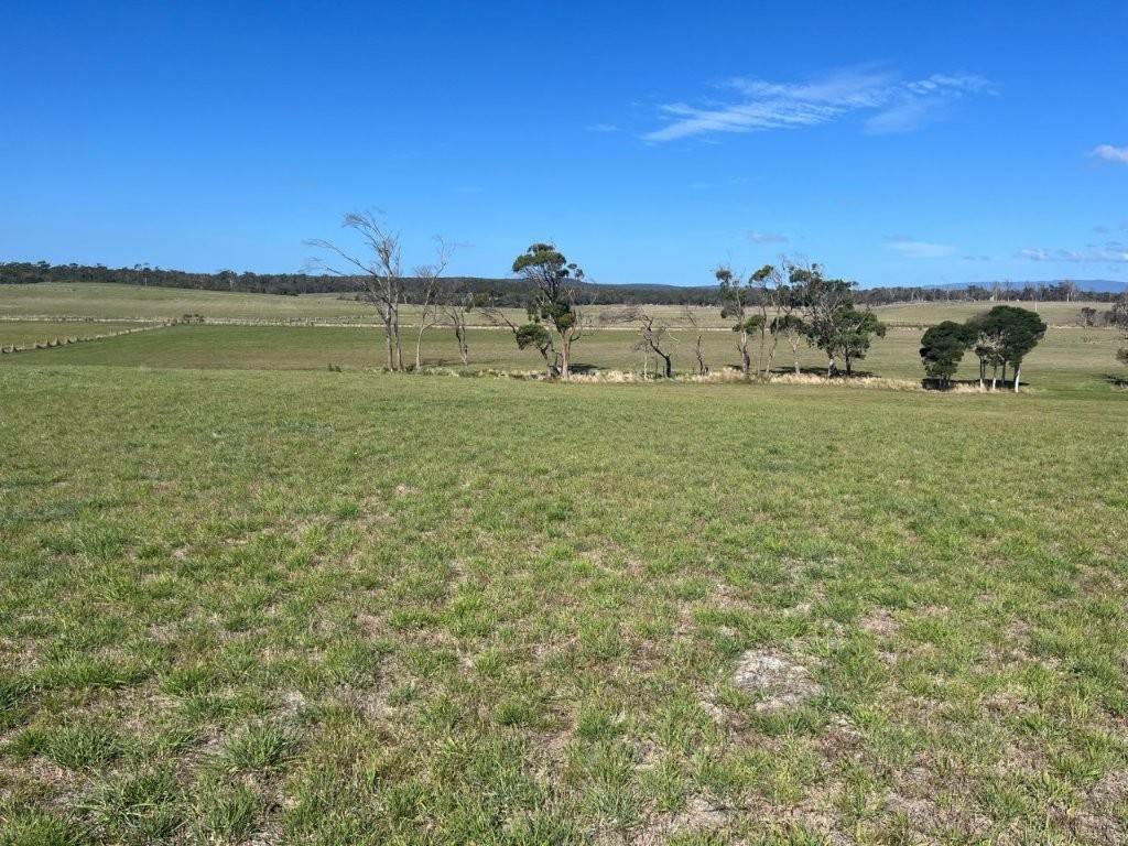 559 North Ansons Road, Gladstone For Sale by Farmbuy.com - image 8
