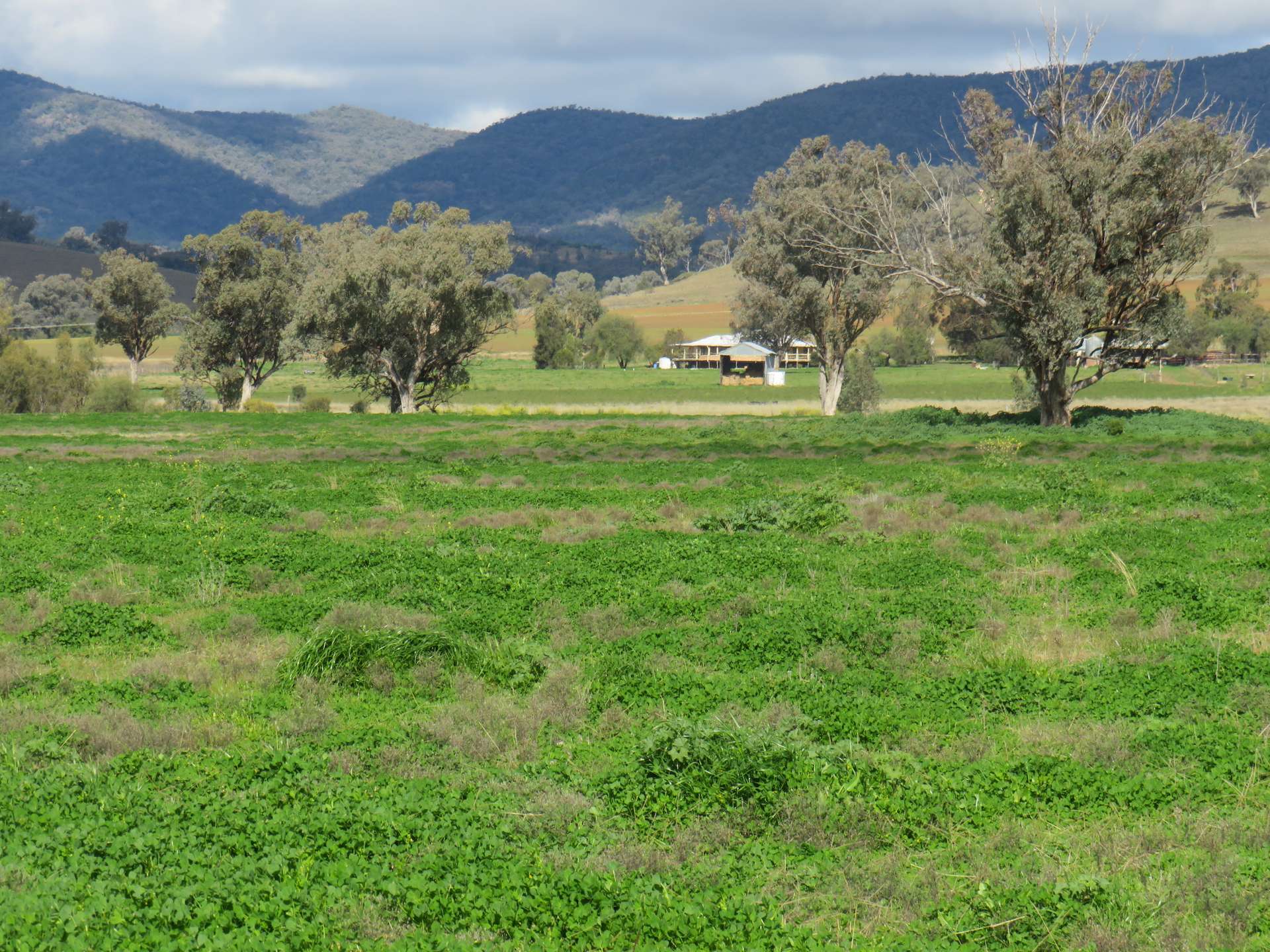 "Elstern" 1872 Old Winton Road, Tamworth For Sale by Farmbuy.com - image 29