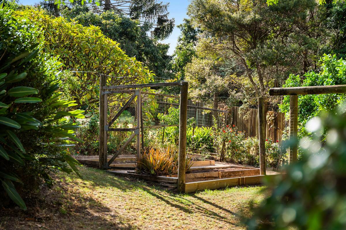 231-233 Rowbotham Street, Middle Ridge For Sale by Farmbuy.com - image 20