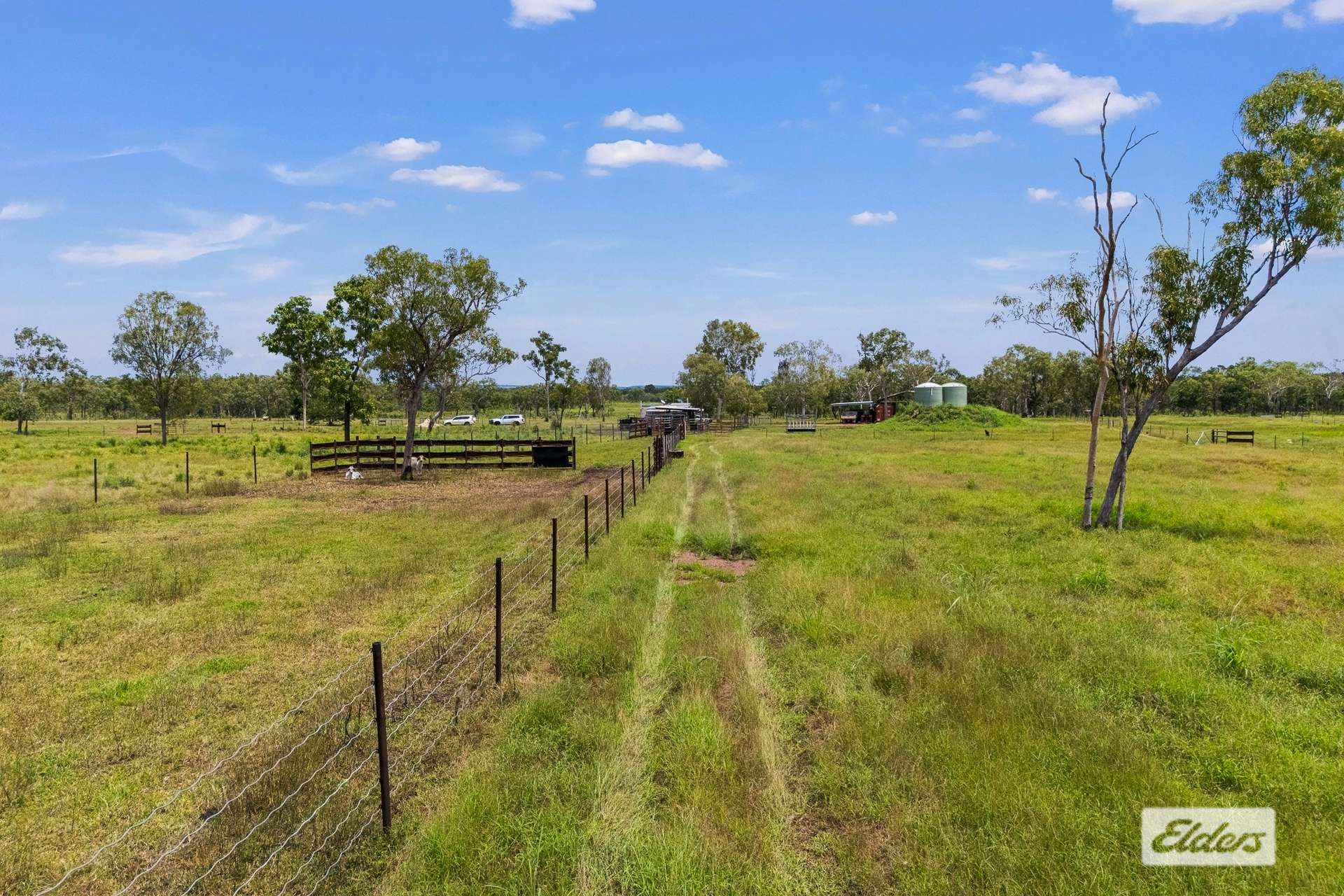 995 Cheeney Road, Batchelor For Sale by Farmbuy.com - image 22