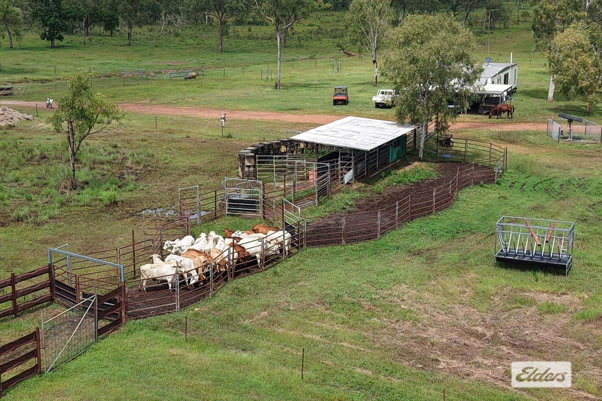 995 Cheeney Road, Batchelor For Sale by Farmbuy.com - image 3