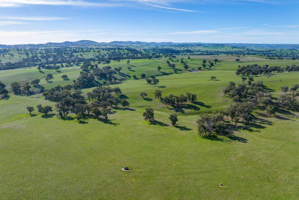 7440 Hume Highway, Jugiong NSW 2726