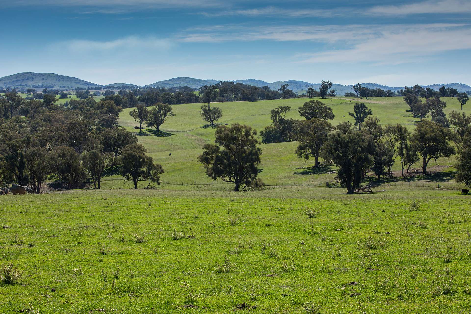 7440 Hume Highway, Jugiong Auction by Farmbuy.com - image 27