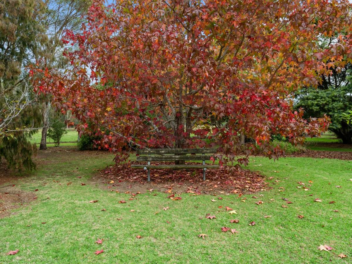 885 Forge Creek Road, Forge Creek Sold by Farmbuy.com - image 23