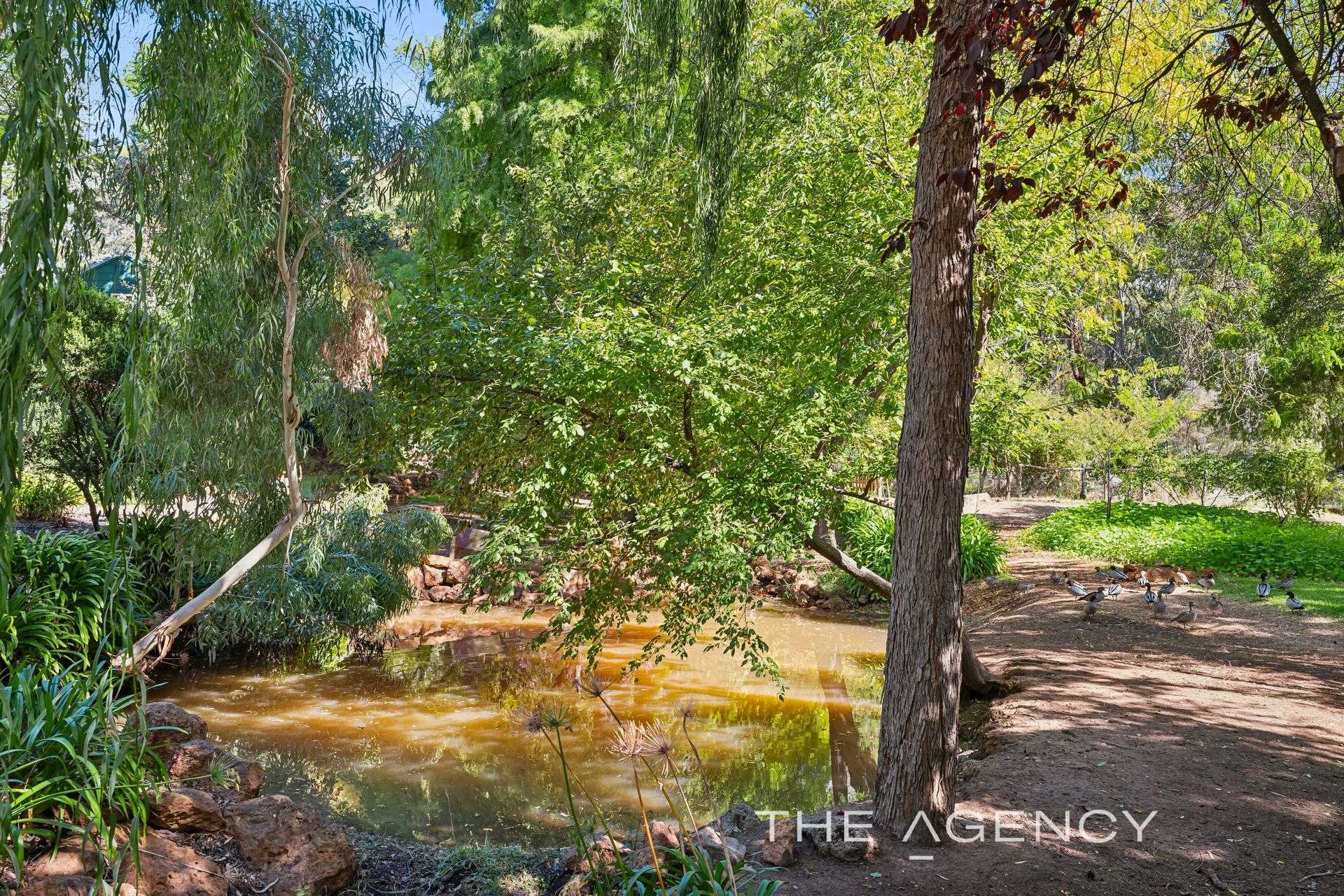 2 Hartung Street, Mundaring Sold by Farmbuy.com - image 21