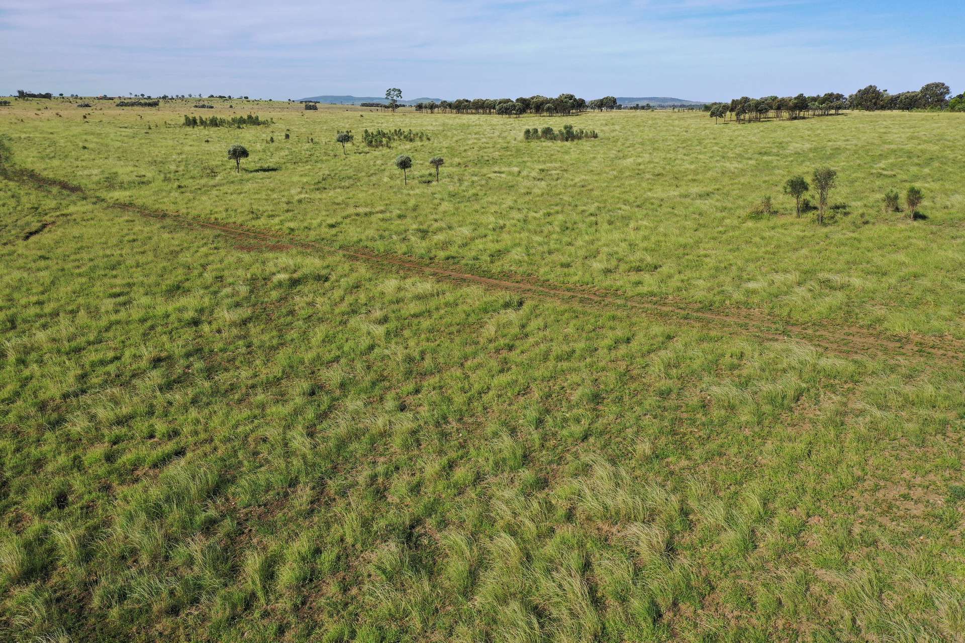 564 ORALLO ROAD, Roma Auction by Farmbuy.com - image 1