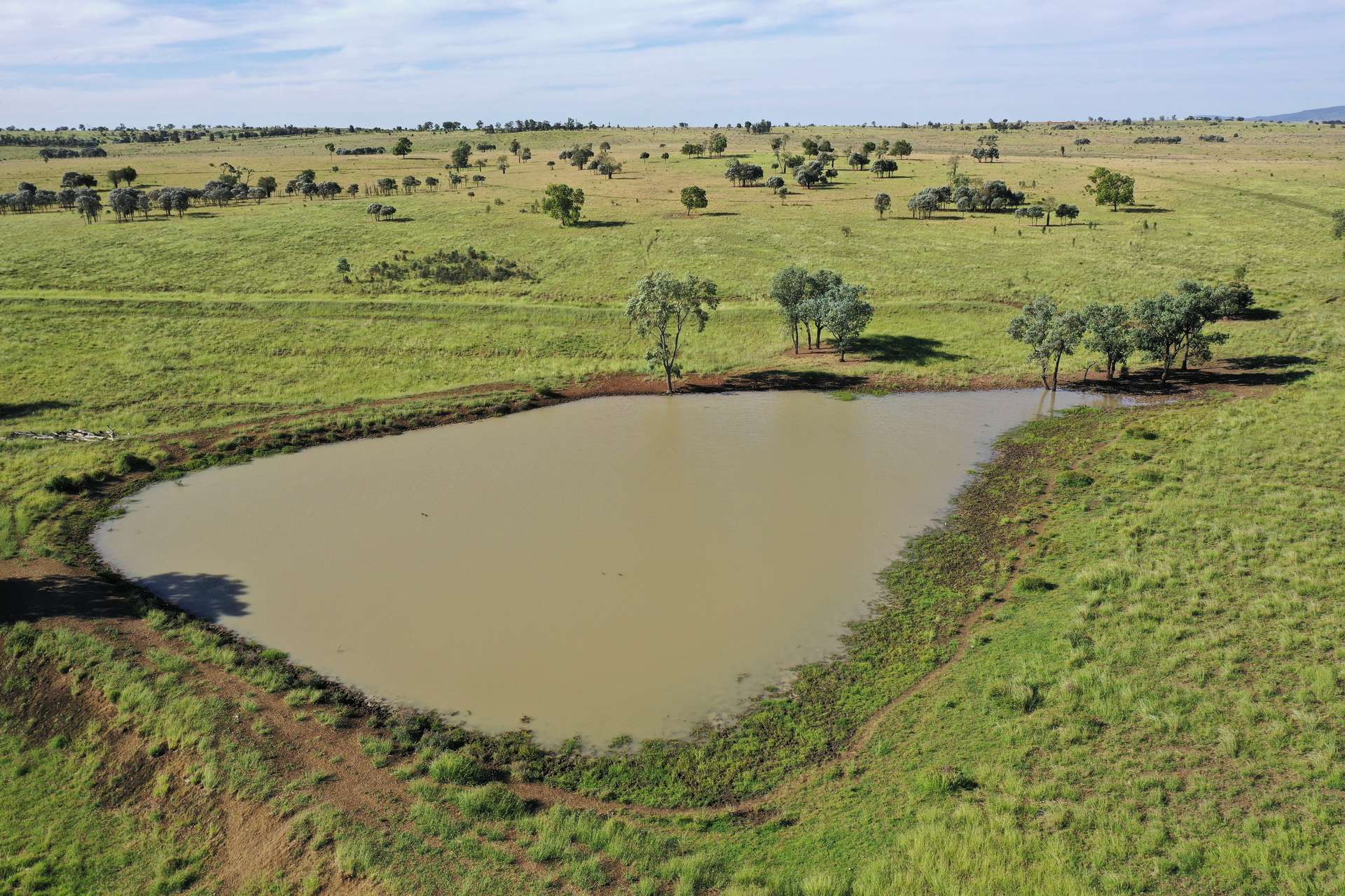 564 ORALLO ROAD, Roma Auction by Farmbuy.com - image 20