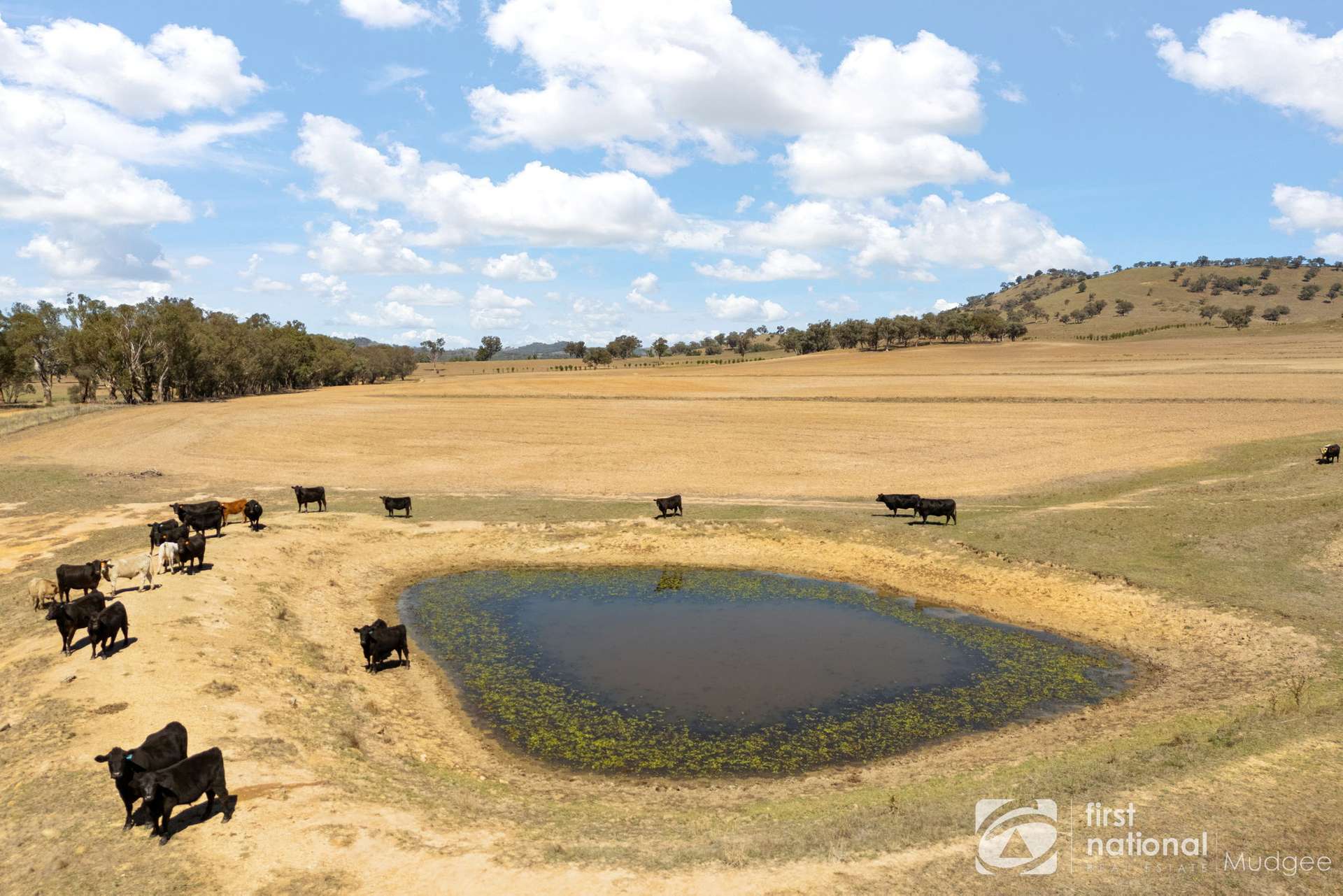 365 Erudgere Lane, Mudgee For Sale by Farmbuy.com - image 1