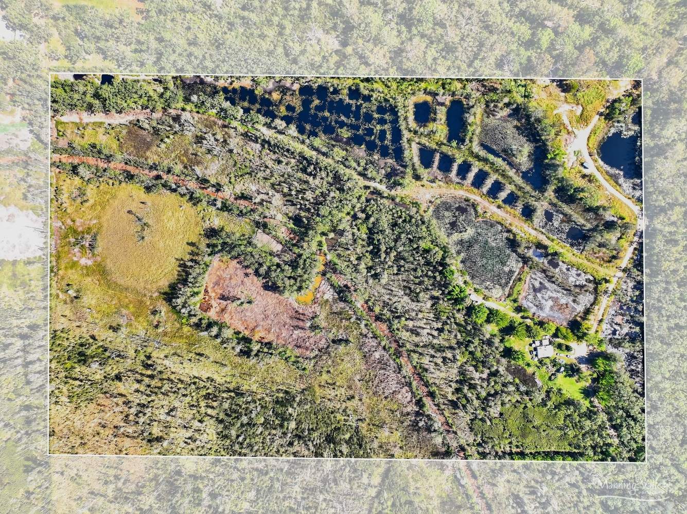 Lot 169 Oakview Drive, Hallidays Point For Sale by Farmbuy.com - floorplan 1