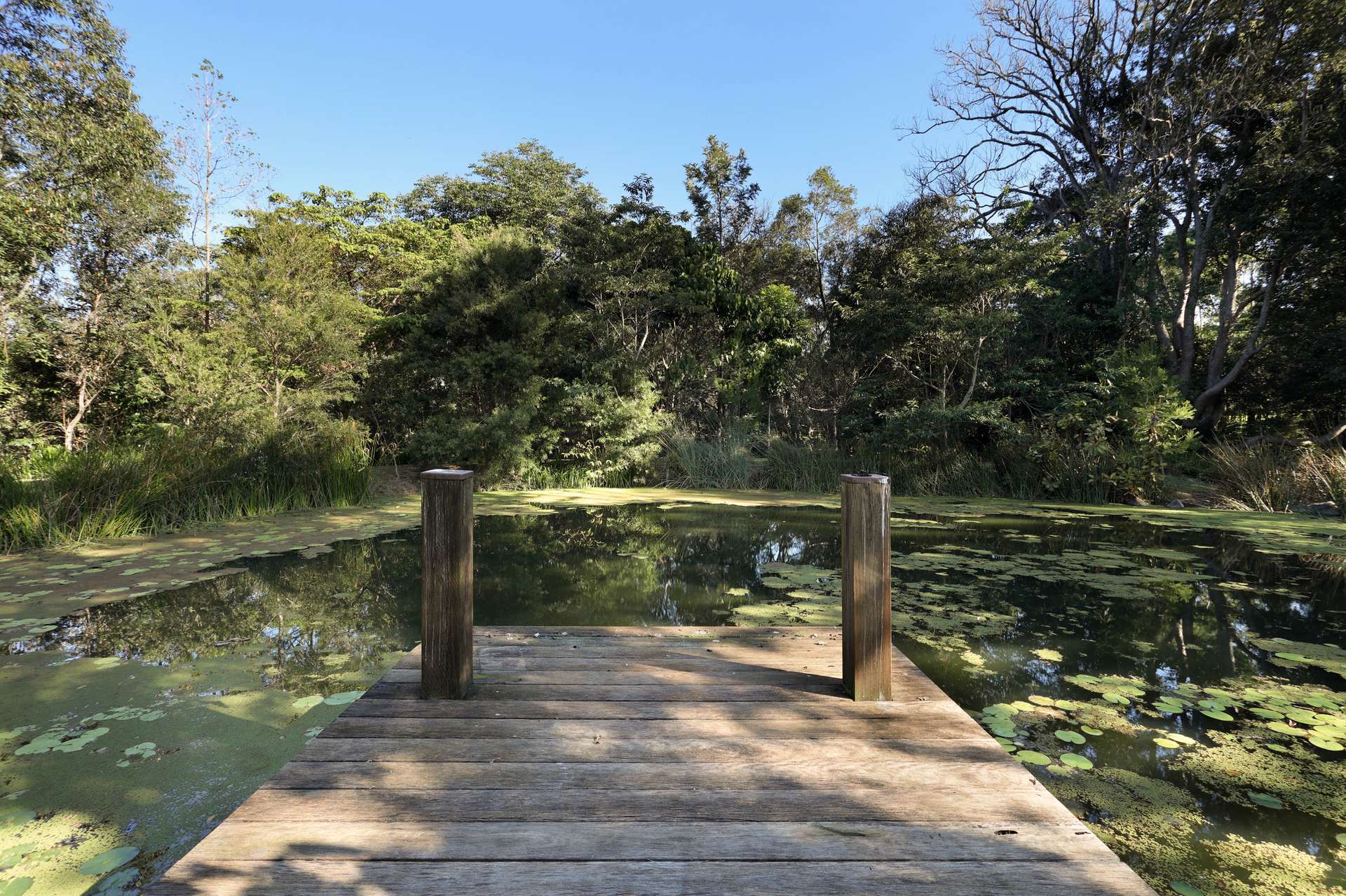 Cooroy Mountain For Sale by Farmbuy.com - image 32