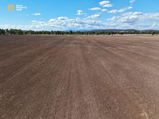 Farm Sold - NSW - Baan Baa - 2390 - Balanced 60/40 Cropping & Grazing with Namoi River Frontage 