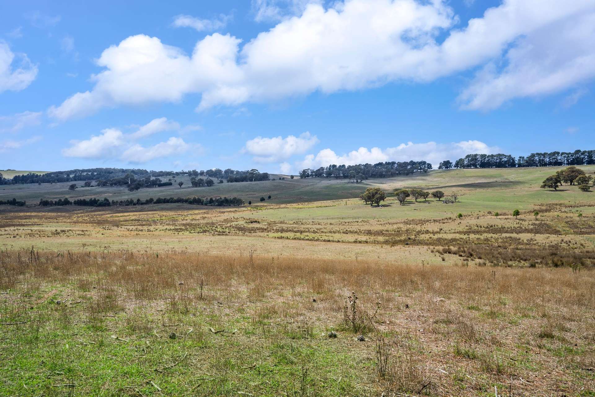 2770 Woodhouselee Road, Laggan Via, Crookwell For Sale by Farmbuy.com - image 16