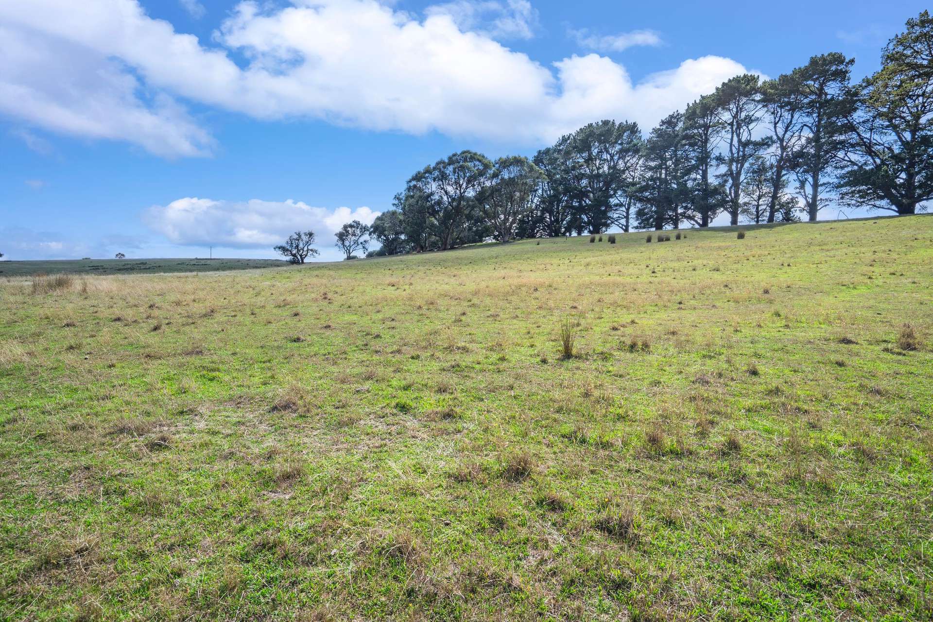 2770 Woodhouselee Road, Laggan Via, Crookwell For Sale by Farmbuy.com - image 17