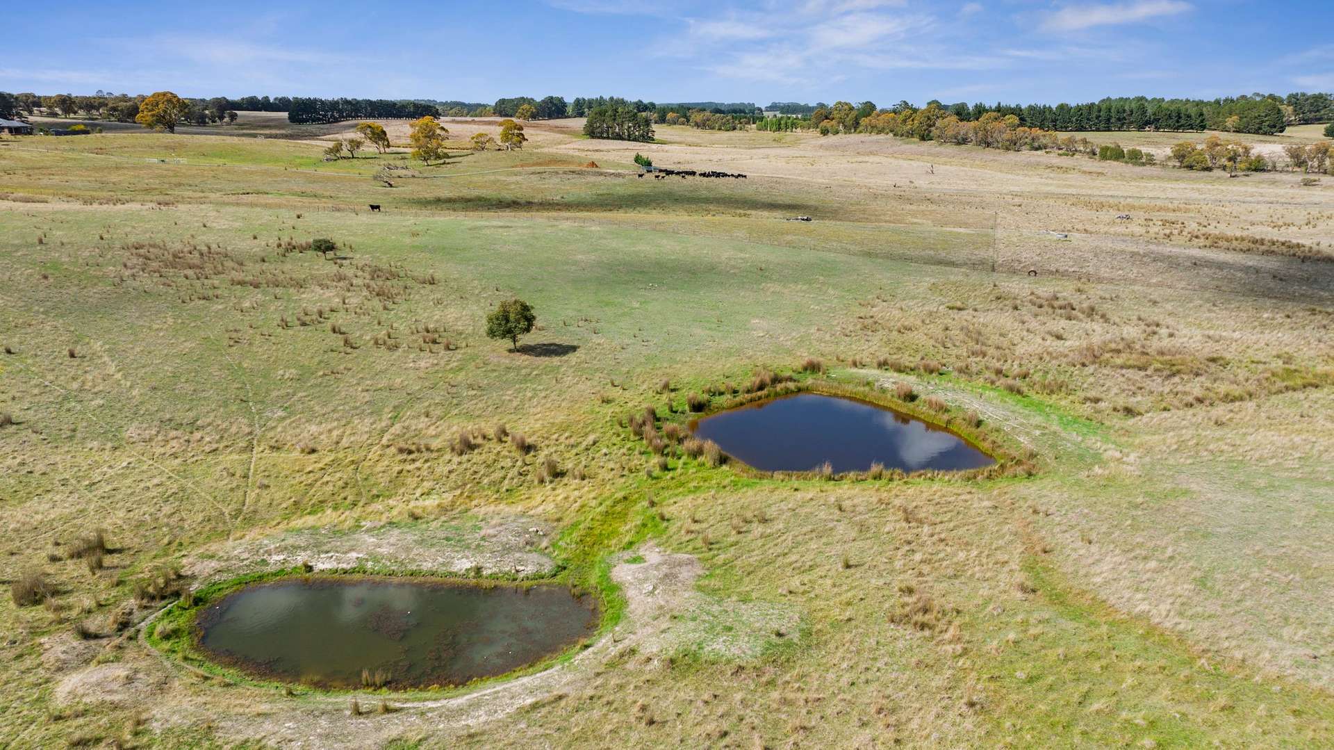 2770 Woodhouselee Road, Laggan Via, Crookwell For Sale by Farmbuy.com - image 11