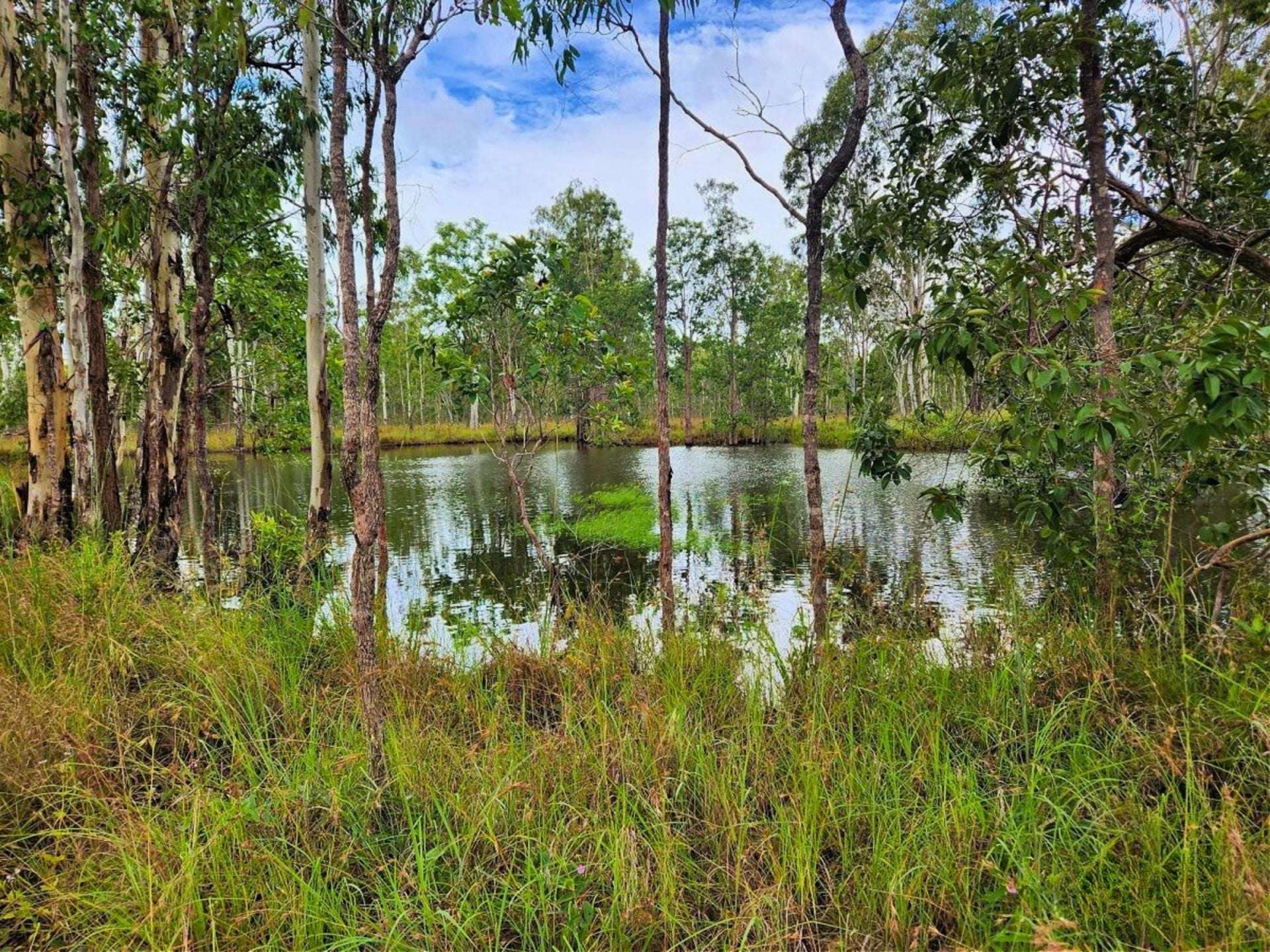 24 Dalrymple Drive, Millstream For Sale by Farmbuy.com - image 10