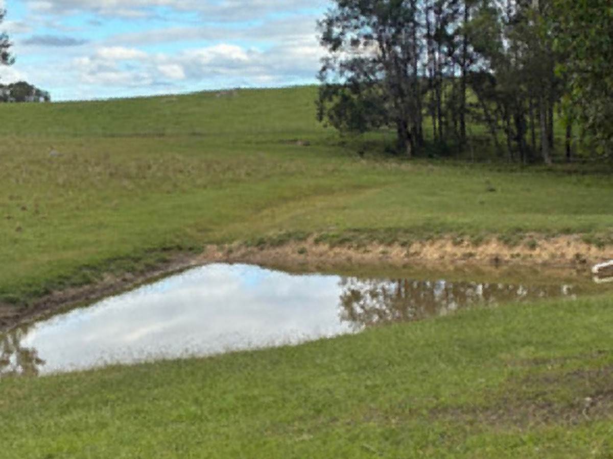 46 Jersey Place, Cobargo For Sale by Farmbuy.com - image 4