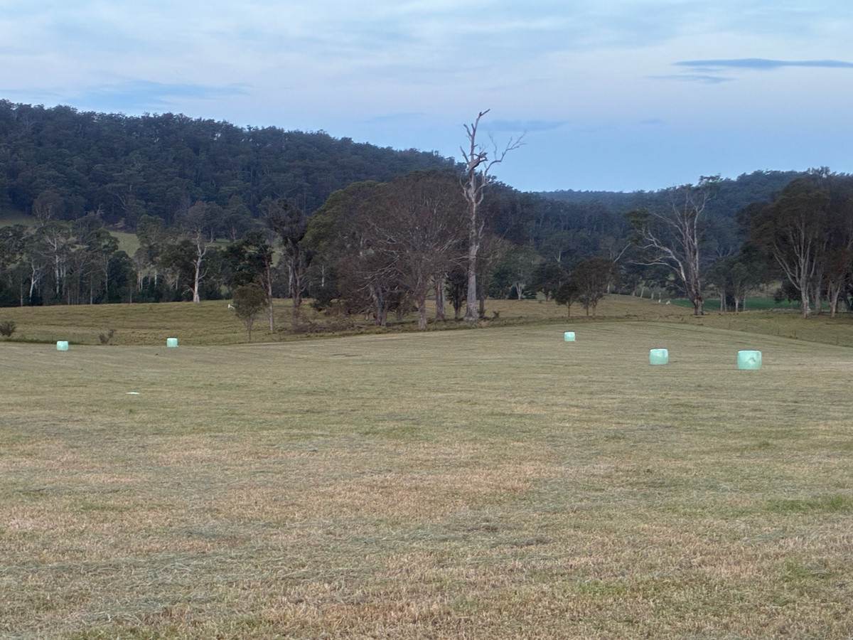 46 Jersey Place, Cobargo For Sale by Farmbuy.com - image 17